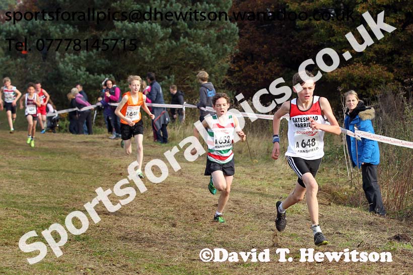 Boys under-13s, National Cross Country Relays, Berry Park, Mansfield. Photo: David T. Hewitson/Sports for All Pics